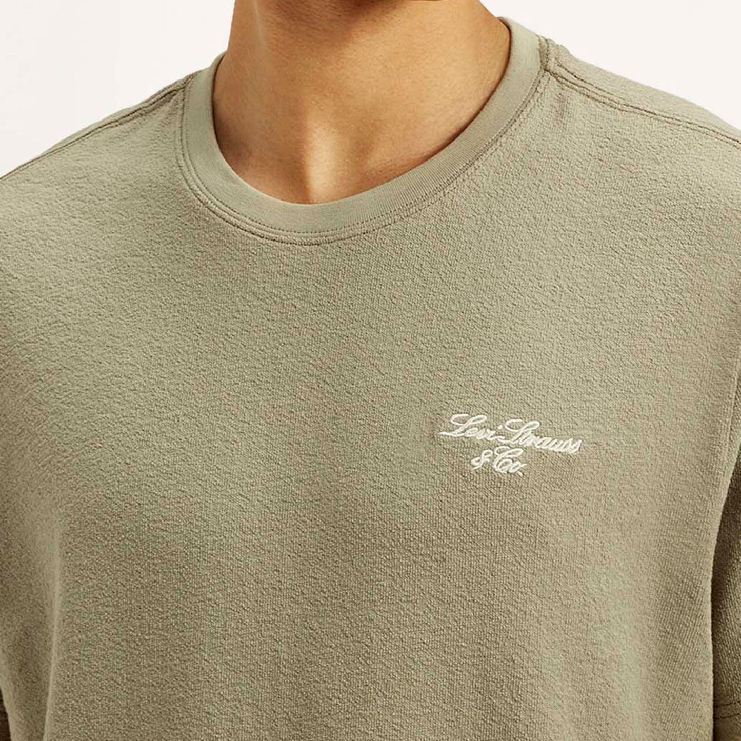 Levi's® Men's Typography Regular Fit T-Shirt