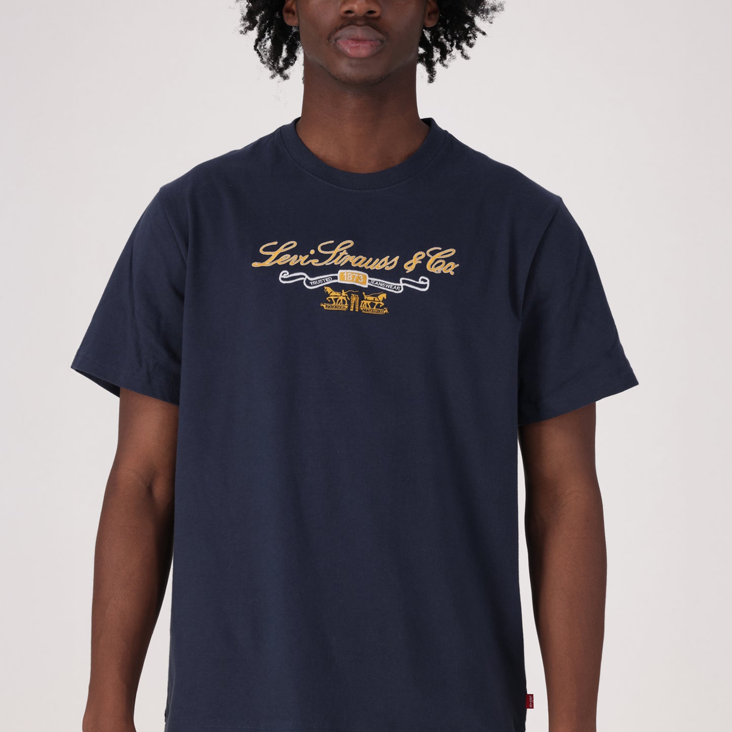 LEVI'S® MEN'S RELAXED SHORT SLEEVE GRAPHIC T-SHIRT - MULTI COLOUR