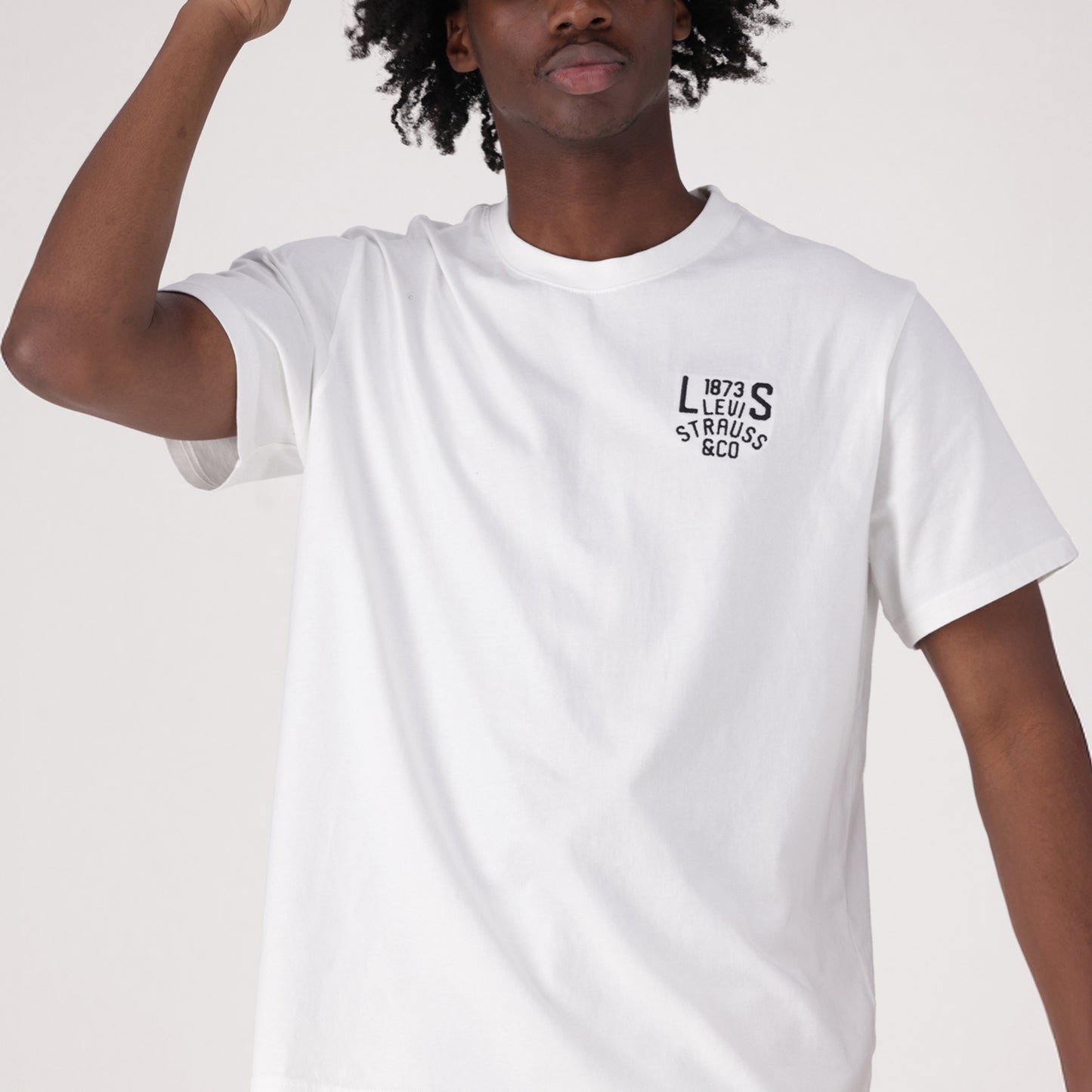 LEVI'S® MEN'S RELAXED SHORT SLEEVE GRAPHIC T-SHIRT - MULTI COLOUR