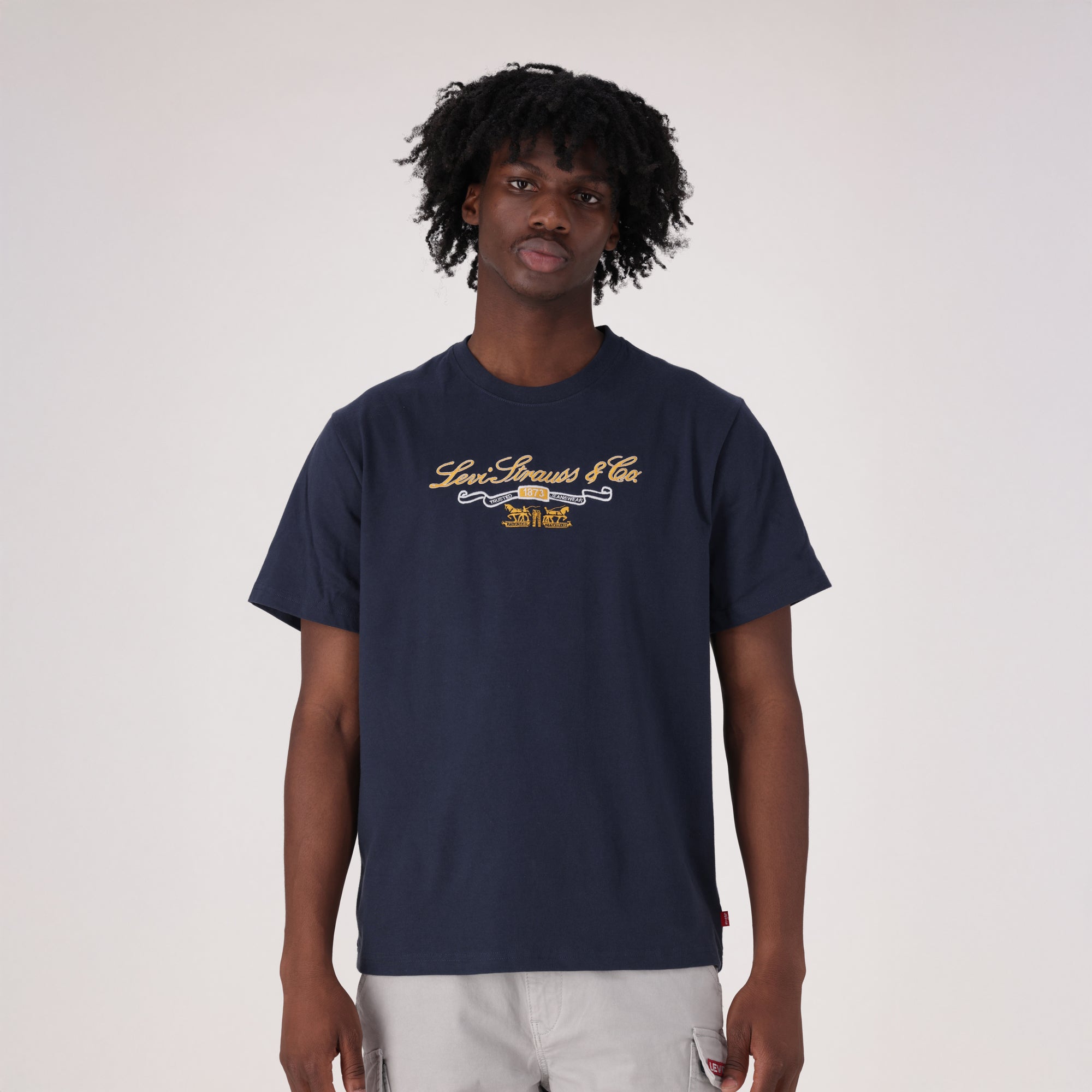 LEVI'S® MEN'S RELAXED SHORT SLEEVE GRAPHIC T-SHIRT - MULTI COLOUR