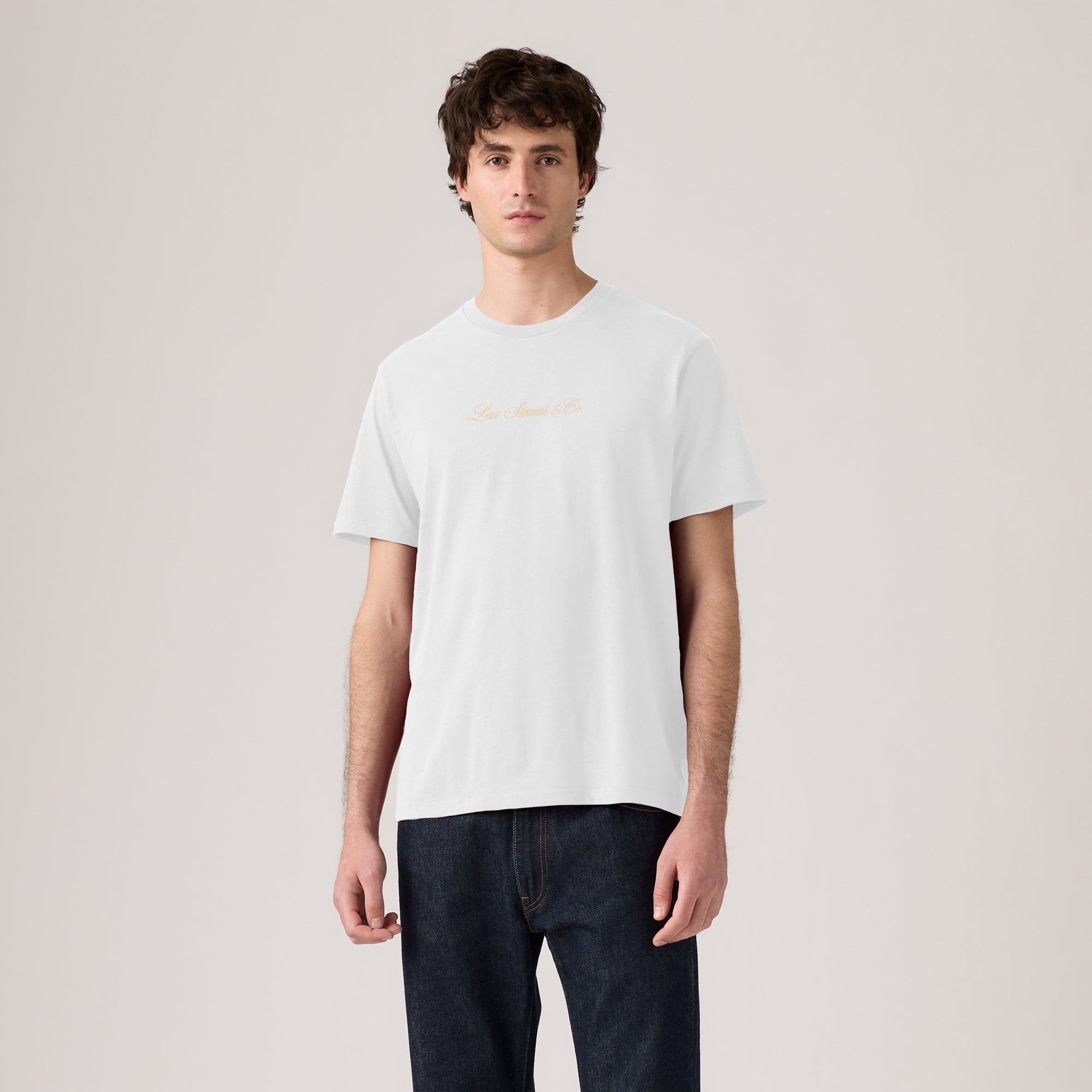 LEVI'S® MEN'S CLASSIC GRAPHIC T-SHIRT - MULTI COLOUR