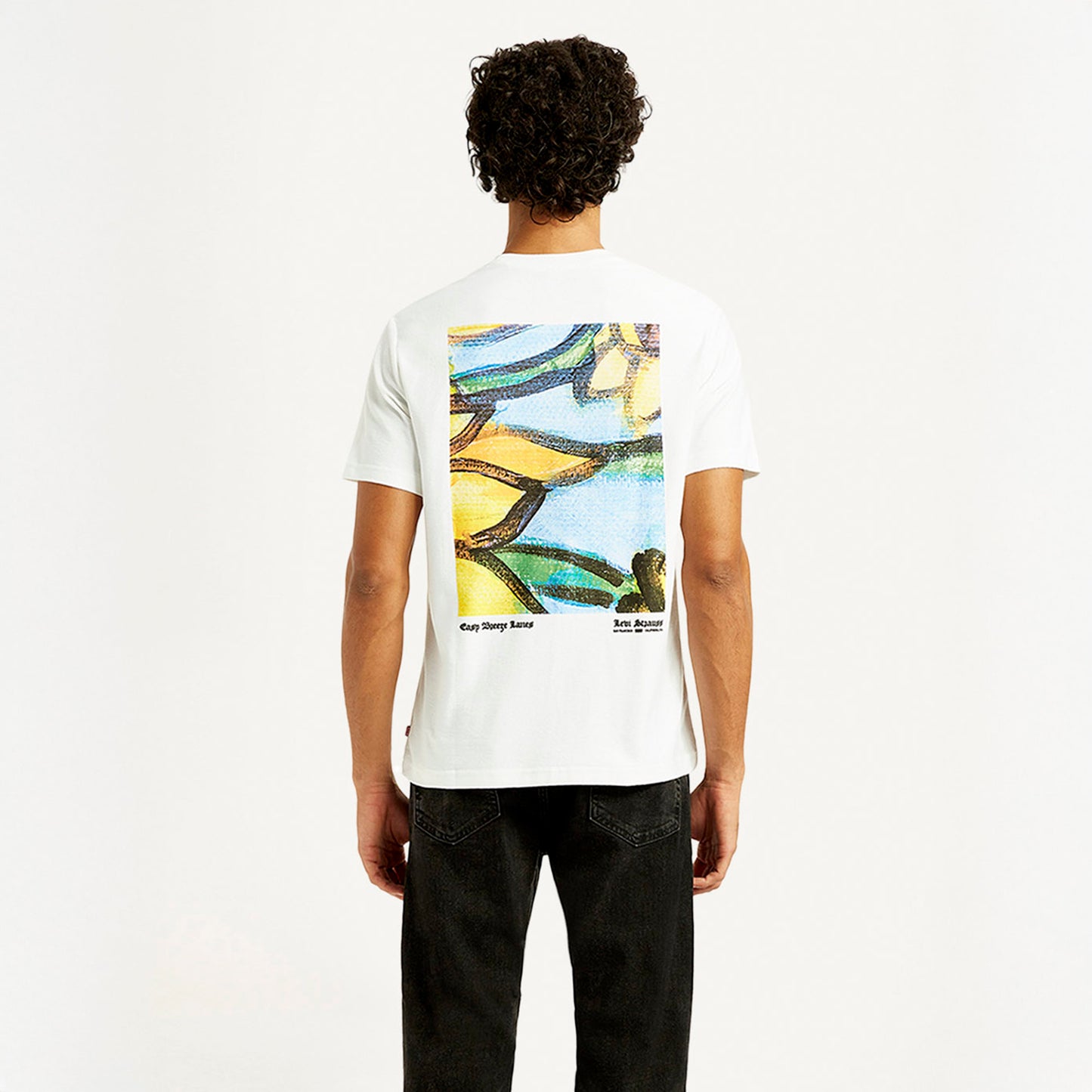 Levi's® Men's Graphic Print Crew Neck T-shirt