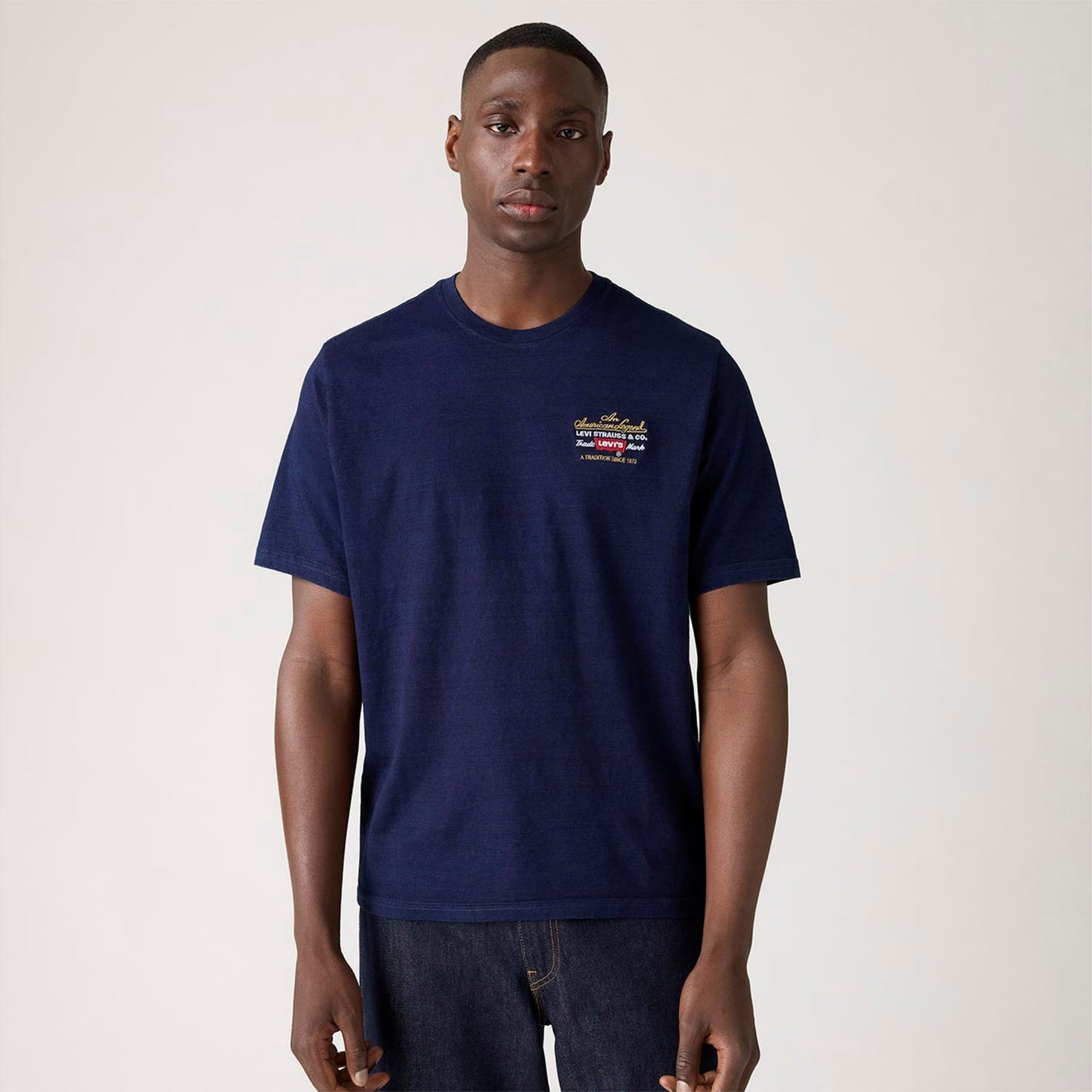 LEVI'S® MEN'S RELAXED SHORT SLEEVE GRAPHIC T-SHIRT - MULTI COLOUR