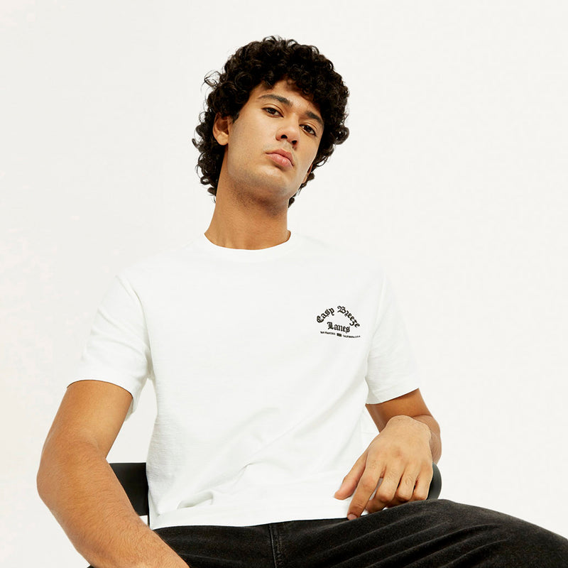 Levi's® Men's Graphic Print Crew Neck T-shirt