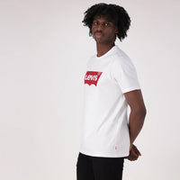 LEVI'S® MEN'S GRAPHIC SET-IN NECK T-SHIRT - NEUTRAL