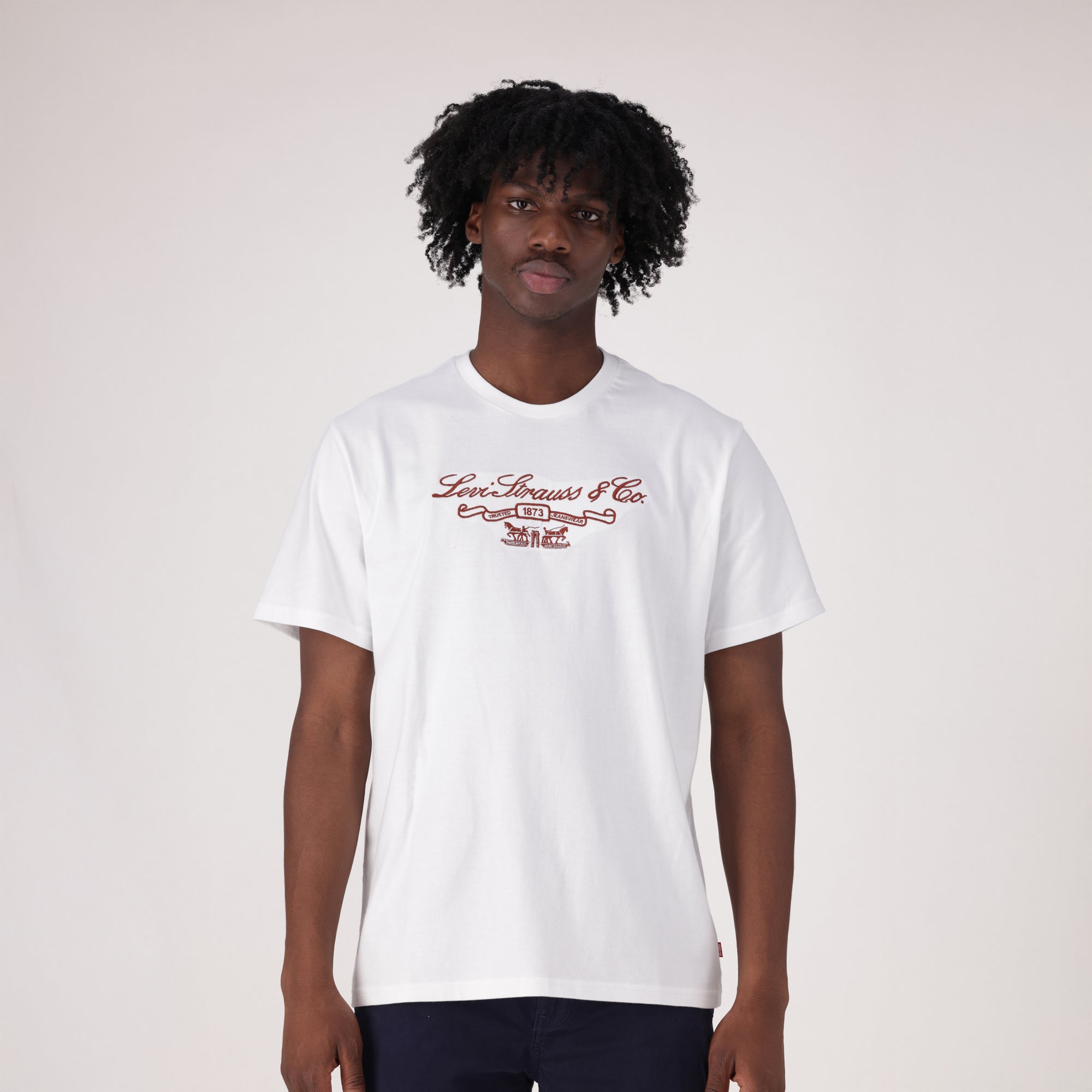 LEVI'S® MEN'S RELAXED SHORT SLEEVE GRAPHIC T-SHIRT - MULTI COLOUR