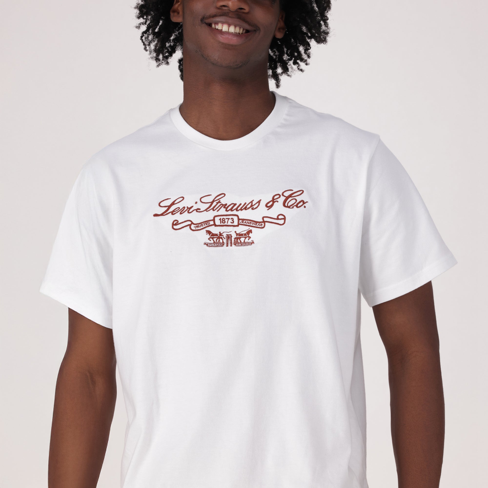 ロクページ LEVI'S® MEN'S RELAXED SHORT SLEEVE GRAPHIC T-SHIRT - MULTI COLOUR