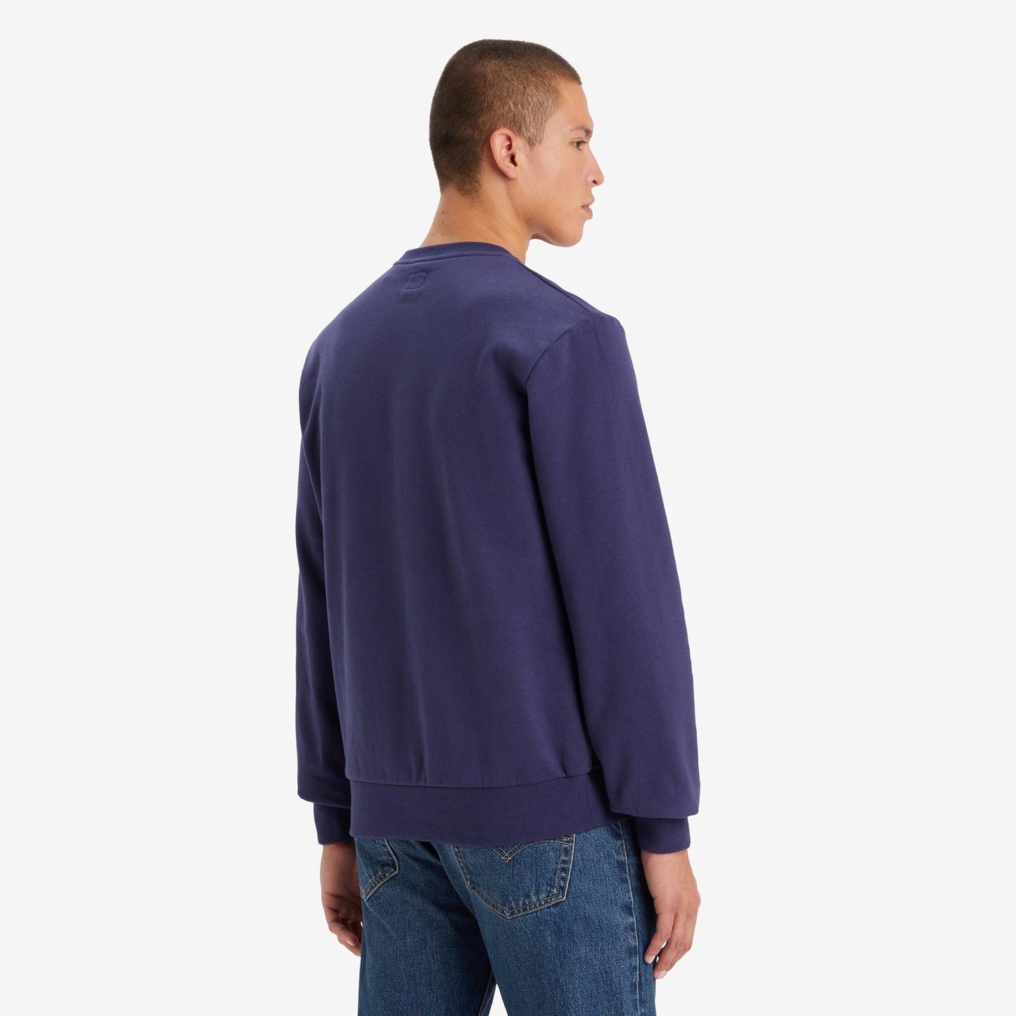 STANDARD FIT GRAPHIC CREWNECK SWEATSHIRT - BLUE
